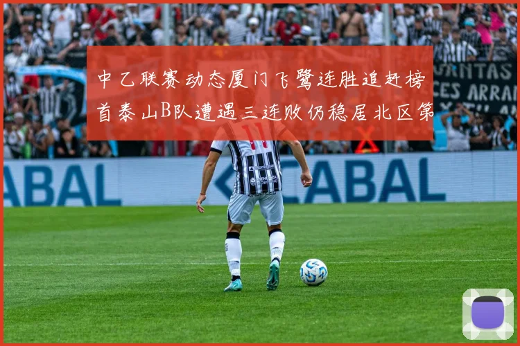 中乙联赛动态厦门飞鹭连胜追赶榜首泰山B队遭遇三连败仍稳居北区第三