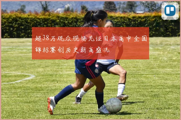 超38万观众现场见证日本高中全国锦标赛创历史新高盛况