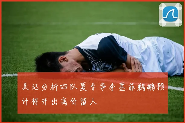 美记分析四队夏季争夺墨菲鹈鹕预计将开出高价留人