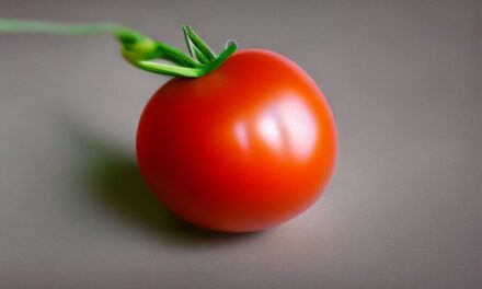 10 puntos para el tomate